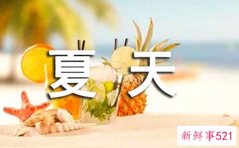 夏天喝什么茶好