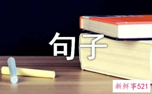 失望心寒的句子