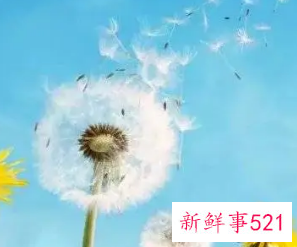 说出自己的内心话