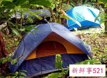 梦到在野外睡觉是啥意思