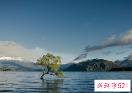 梦见被水淹有什么征兆