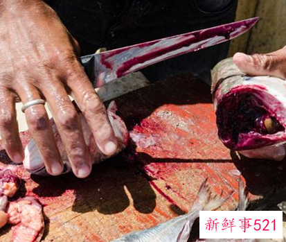 梦见自己打死鱼