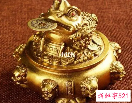 金蟾跟什么生肖相冲