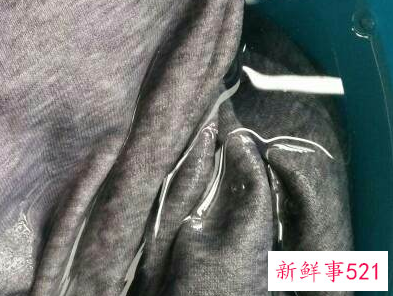 防止裤子掉色怎么清洗