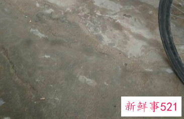 一下雨屋里水泥地面就潮湿