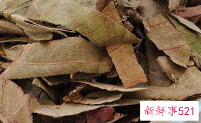 芦叶茶有什么营养