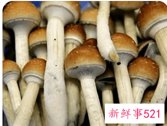 轻微食物中毒会自愈吗