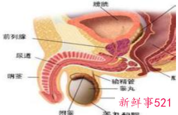 男小便刺痛能自愈吗