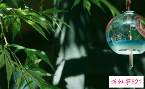 肉皮的营养价值有哪些