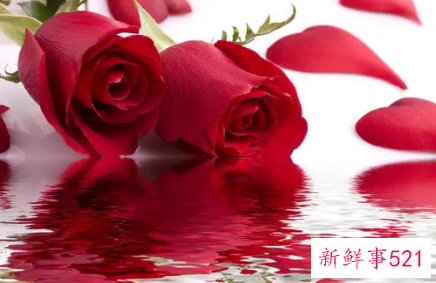 适合说分手的句子