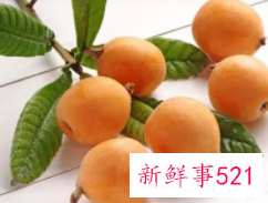 枇杷怎么吃治咳嗽化痰