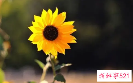 适合说分手的句子