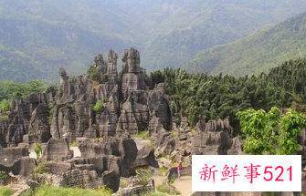 四川4A级竹石林景区2805万元起拍