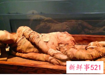 葡萄牙发现距今约8000年木乃伊