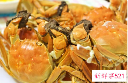 吃螃蟹寒凉吗