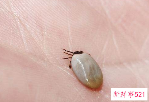 老人味去除小妙招