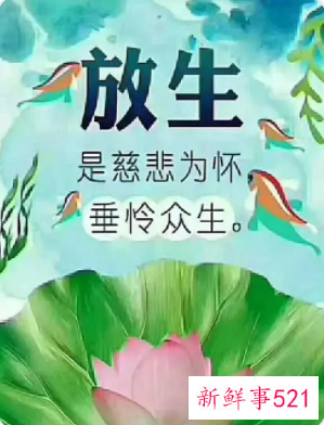 放生应该说什么话