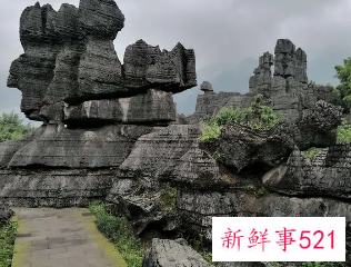 四川4A级竹石林景区2805万元起拍