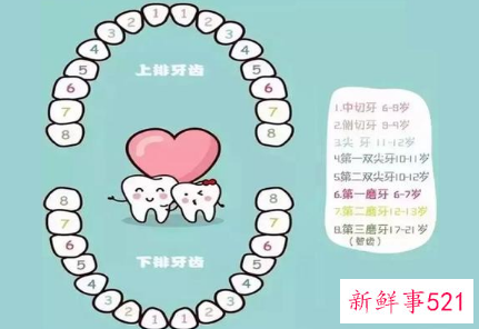 孩子换牙最晚几岁
