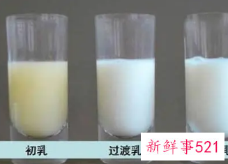 初乳冷冻比后期的奶更营养吗