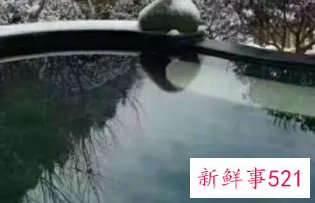 温泉度假的说说朋友圈