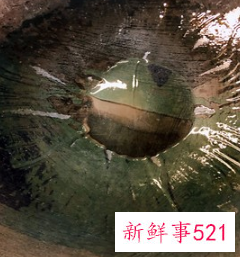 现炒快餐菜谱大全带图片