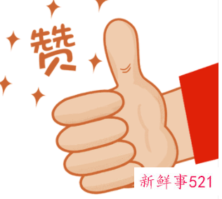 赞扬领导能力的成语