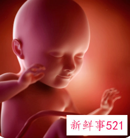 孕18周胎儿特别活跃