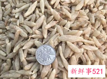 麦门冬有什么功效与作用