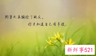 人心是慢慢变冷的句子图片