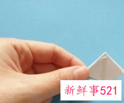 利用废旧物品做小手工