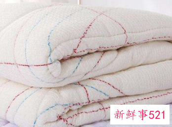 棉被里的虫子图片