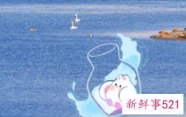 水瓶座主动联系你的时候