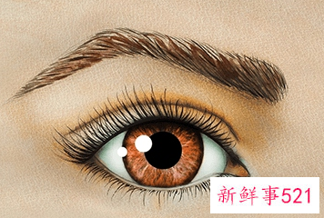 女人什么样眉毛有福气