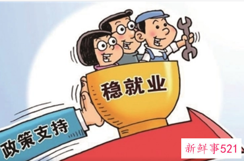 就业表科研能力怎么填