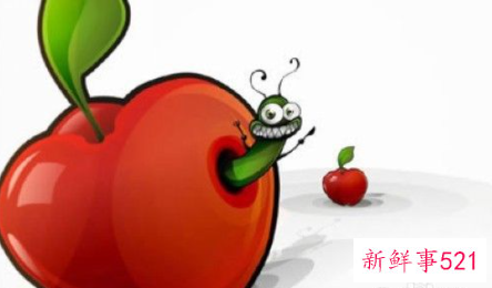 如何根据水果的性质挑着吃