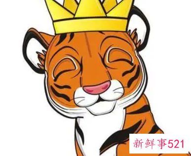 属虎的女孩起名宜用字