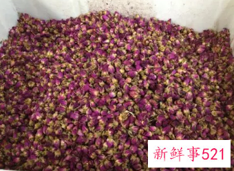 玫瑰花茶的最佳搭配是谁