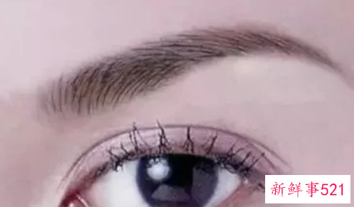 女人什么样眉毛有福气