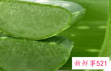 芦荟直接擦脸可以祛斑吗