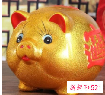 客厅金猪储钱罐可以吗