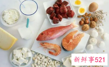 蛋白质的生理功能