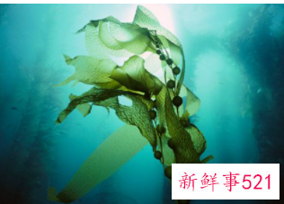 如何给皮肤补水呢