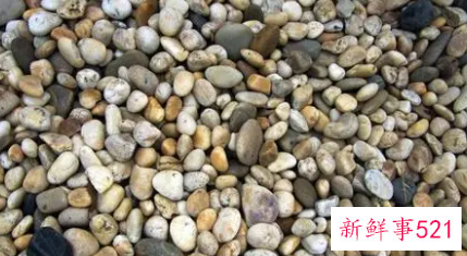 梦见鹅卵石有什么征兆