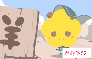 男女生肖最佳婚配表