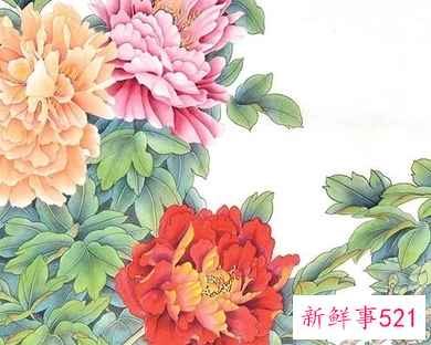 客厅什么样的背景图招财