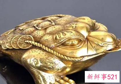 金蟾跟什么生肖相冲