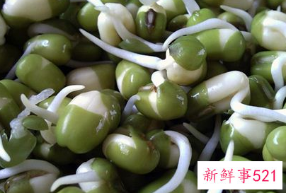 梦见豆芽有什么征兆