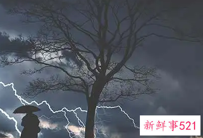 梦见神动了是什么意思