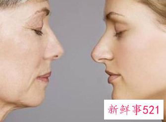 补充胶原蛋白的食物